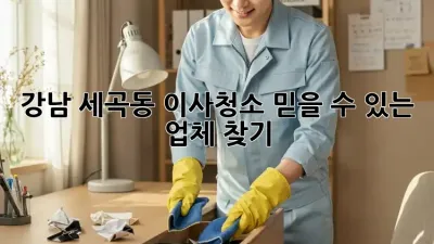 강남 세곡동 이사청소, 믿을 수 있는 업체 찾기!