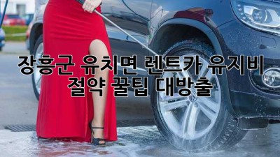 🚗 장흥군 유치면 렌트카 유지비 절약 꿀팁 대방출! 🍯