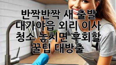 ✨ 반짝반짝 새 출발! 대가야읍 외리 이사 청소, 놓치면 후회할 꿀팁 대방출! 🏡