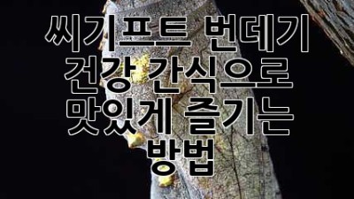 씨기프트 번데기: 건강 간식으로 맛있게 즐기는 방법