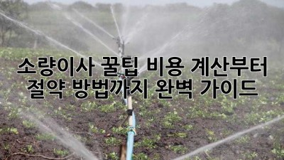 소량이사 꿀팁🍯: 비용 계산부터 절약 방법까지 완벽 가이드! 🚚💨
