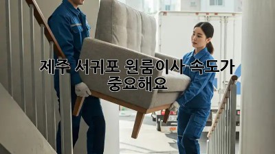 제주 서귀포 원룸이사, 속도가 중요해요!