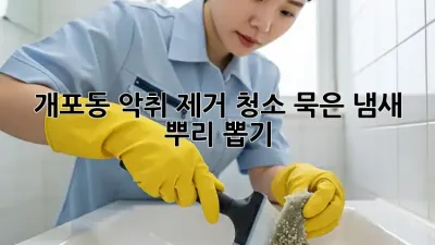 개포동 악취 제거 청소, 묵은 냄새 뿌리 뽑기! 💨